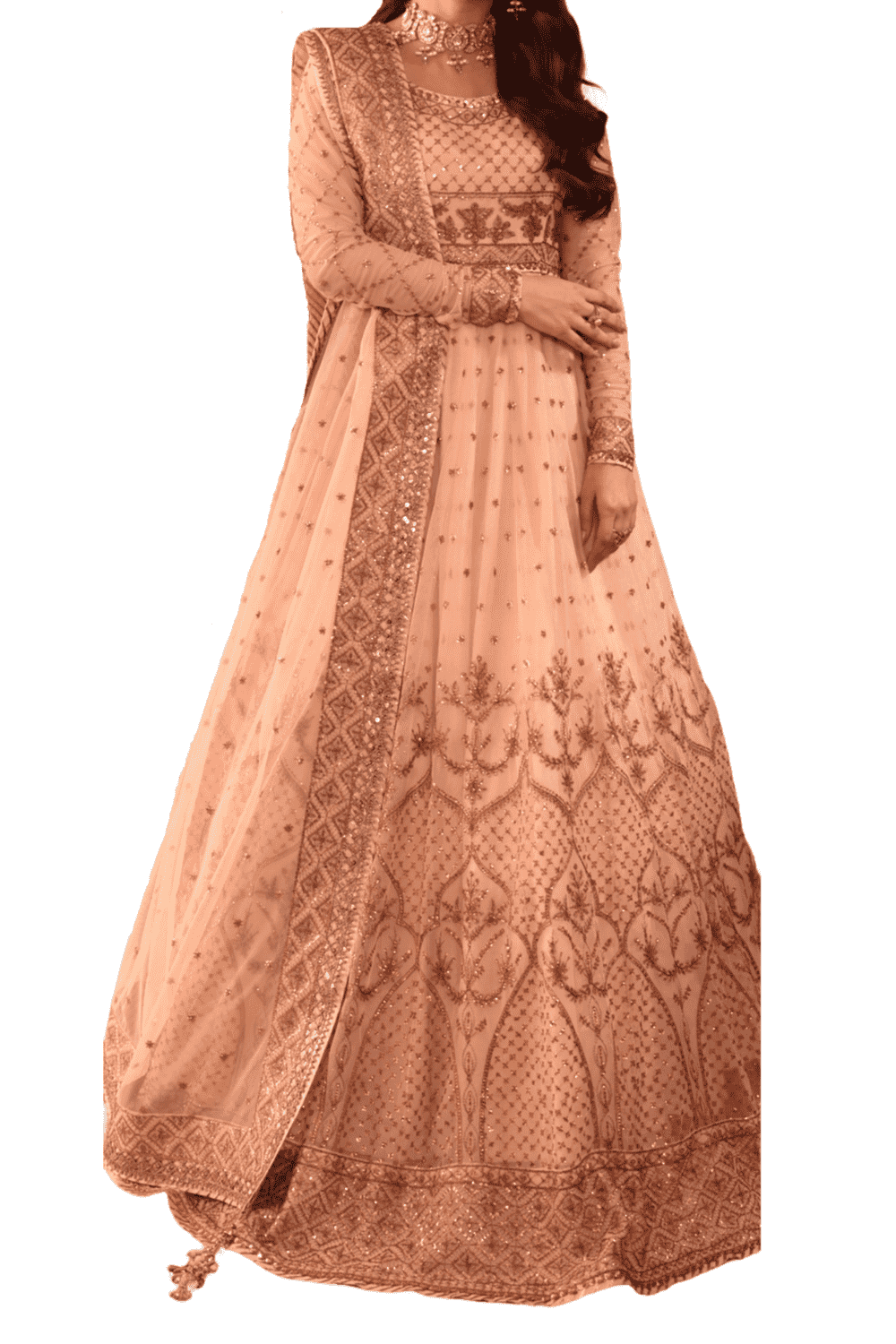 Blush Pink South Asian Maxi Dress – Rose Gold Embroidery, Sheer Dupatta,  Wedding Dress for Women, Desi Formal Wear, Reception Outfit