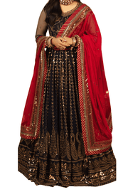 Opulent Navy Blue with Gold Embroidery and Vibrant Red Dupatta - M.M Collection - 
